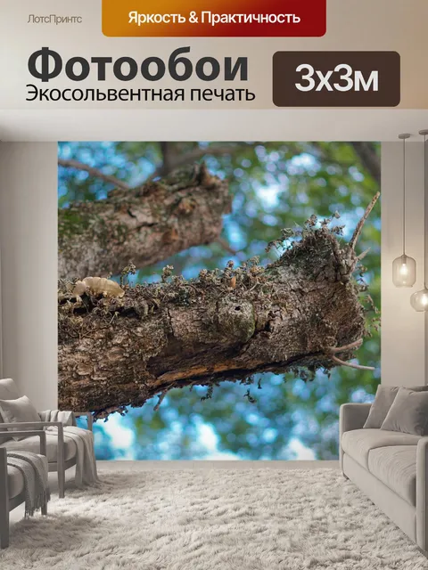 Фотообои Большое дерево