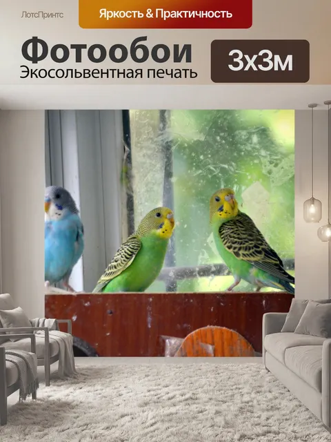 Фотообои Попугаи