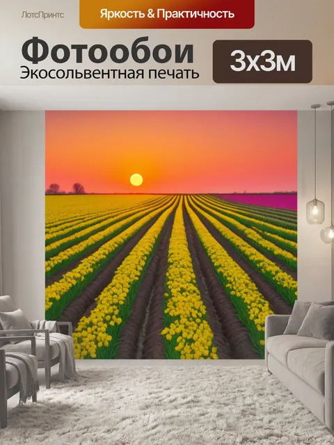 Фотообои поле тюльпанов на закате