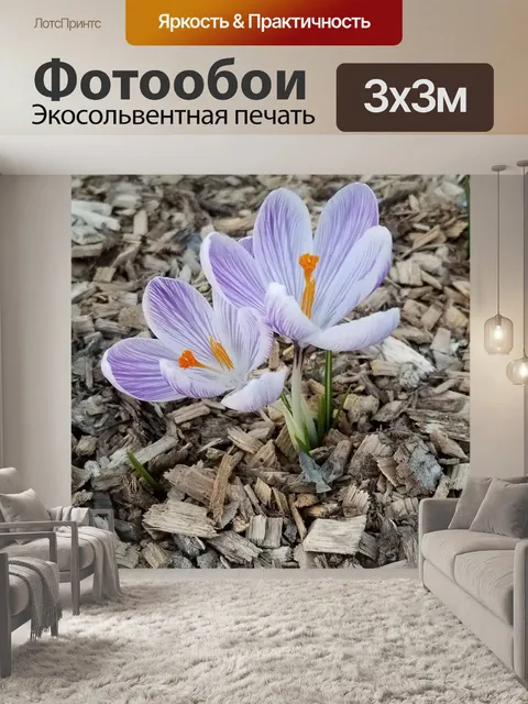 Фотообои Цветы