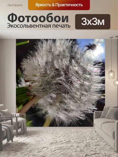 Фотообои Одуванчик