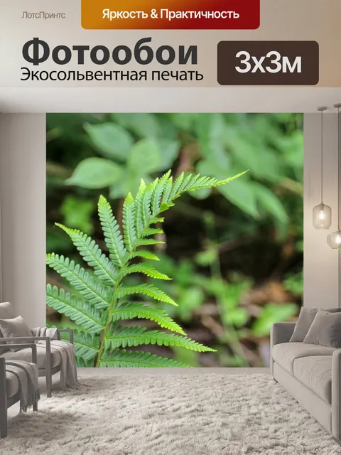 Фотообои Папоротник