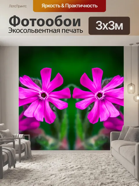 Фотообои Цветы, цветочный фон