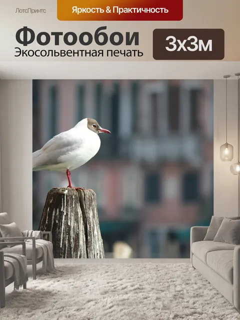 Фотообои На открытом воздухе