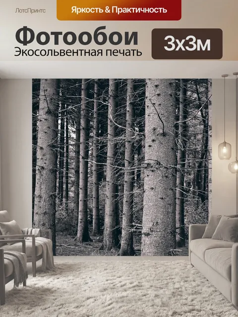 Фотообои Лес