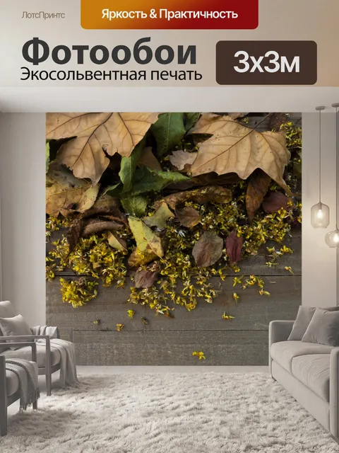 Фотообои Осенний лист