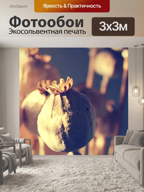 Фотообои Маки