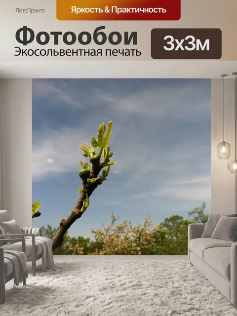 Фотообои Фиговое дерево