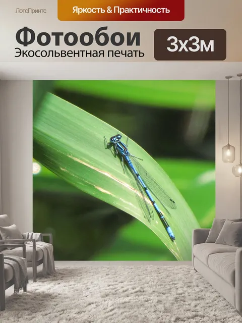 Фотообои Голубая стрекоза на листе