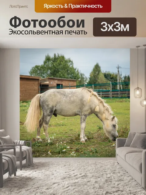 Фотообои Лошади