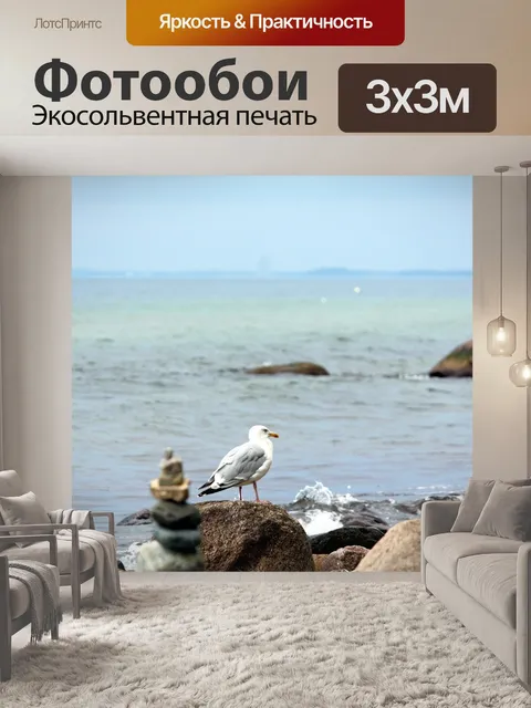 Фотообои Чайка