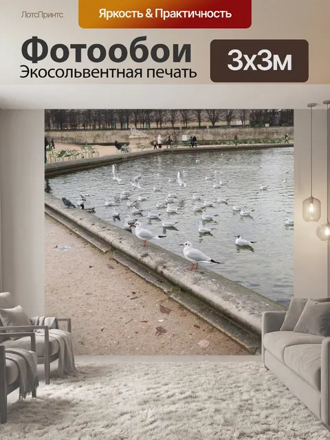 Фотообои Чайки