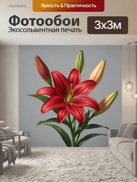 300 × 300 см · Экосольвентная печать