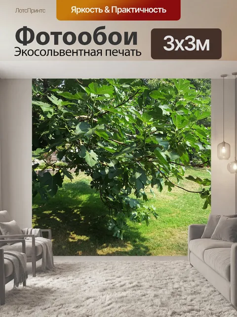 Фотообои смоковница