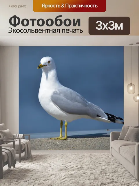 Фотообои Птица