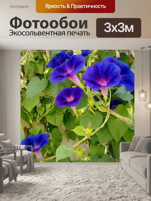 Фотообои Площадка