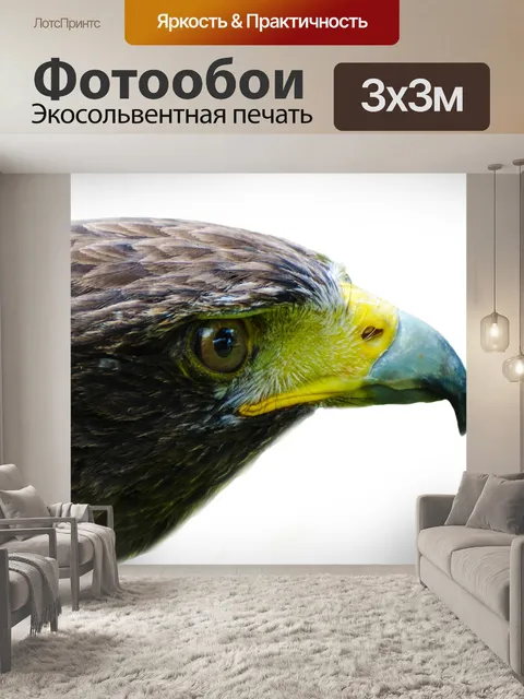 Фотообои Птица