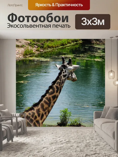 Фотообои KC зоопарке жирафа