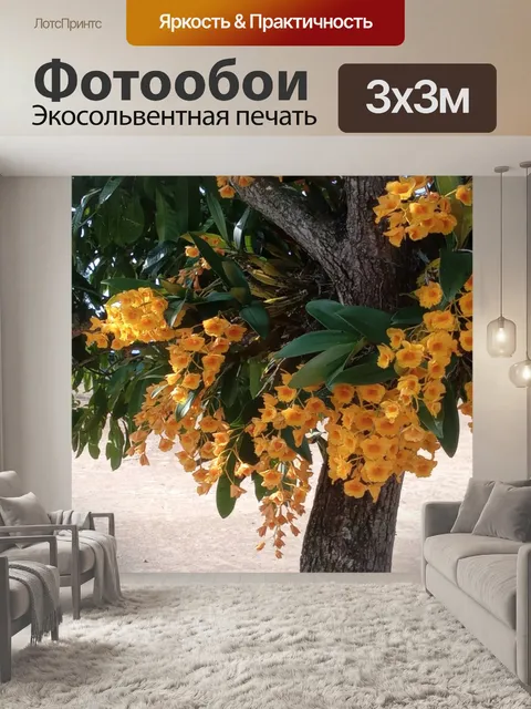 Фотообои Орхидея