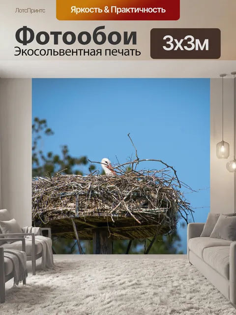 Фотообои Аист, гнездо аиста