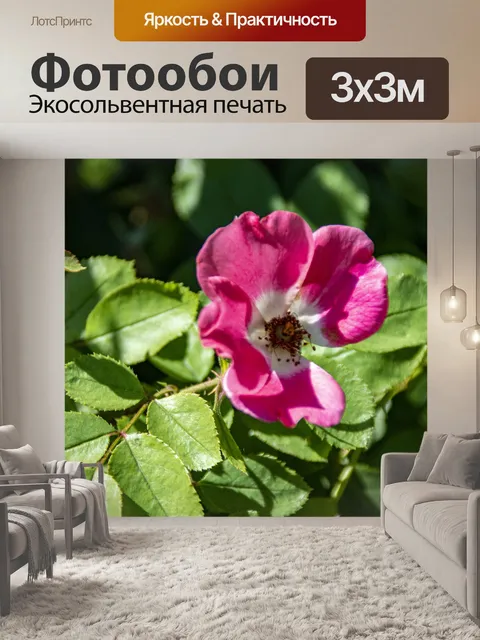Фотообои сладкие розы