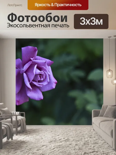 Фотообои Темно-розовые розы
