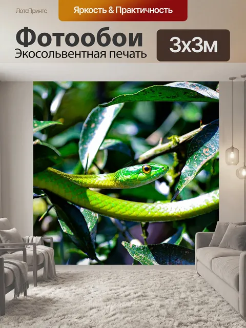 Фотообои Животные