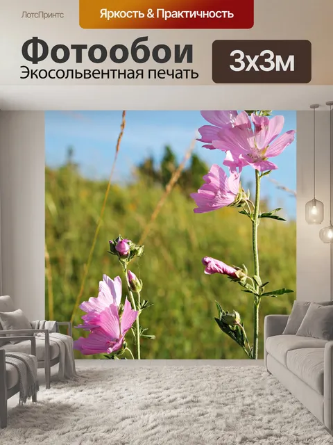 Фотообои Полевые цветы