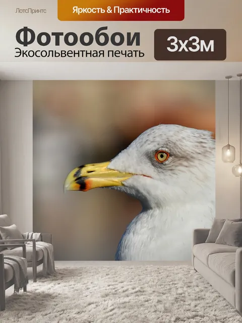 Фотообои Птица