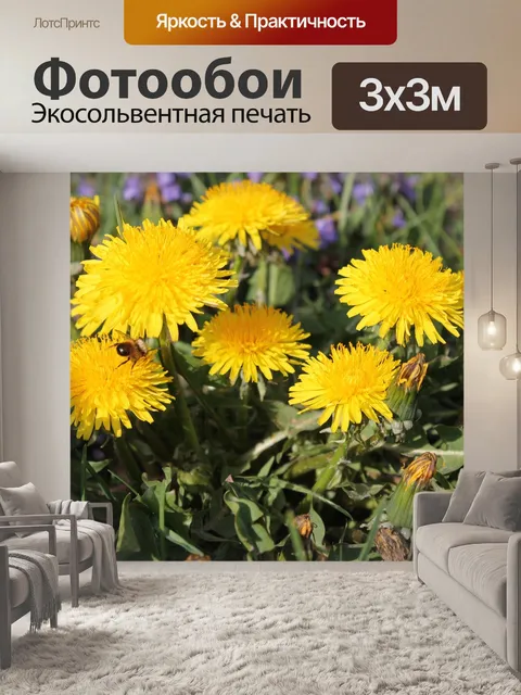 Фотообои Одуванчики