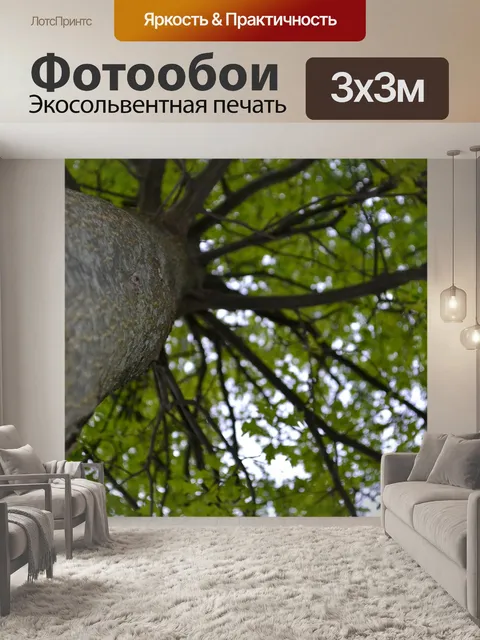 Фотообои Дерево