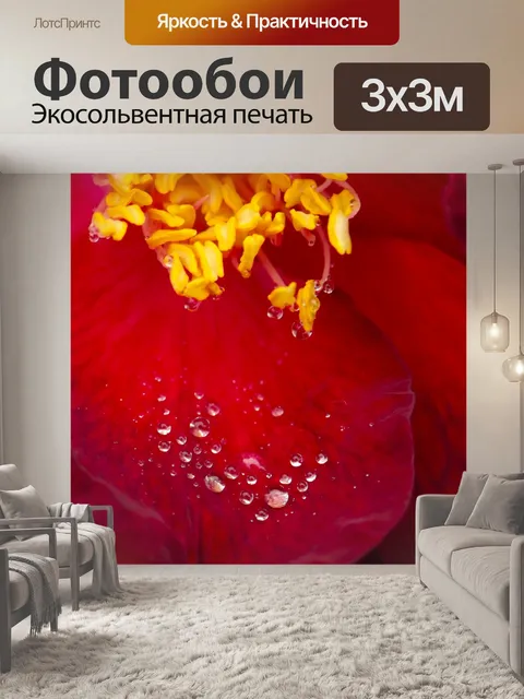 Фотообои Поливают розы