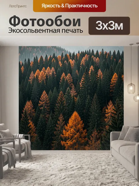 Фотообои Осенний хвойный лес в горах