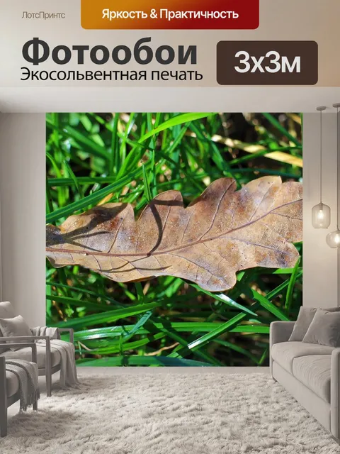 Фотообои Листья