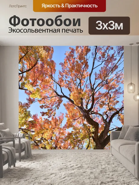 Фотообои Осень
