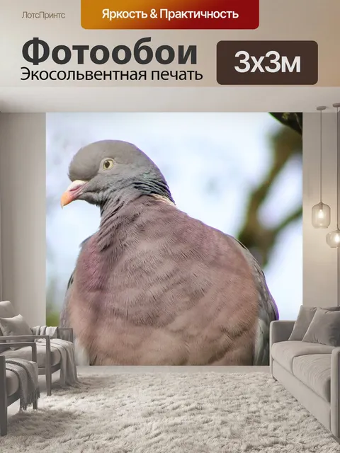 Фотообои Птица
