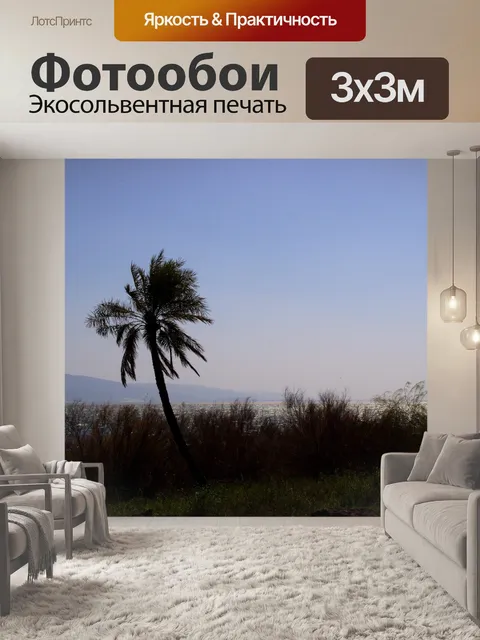 Фотообои Одинокая пальма против озера