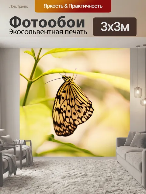 Фотообои Бабочка