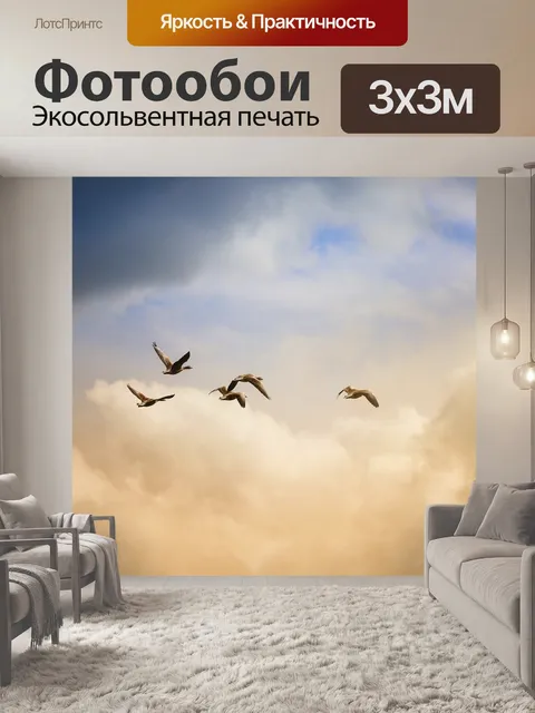 Фотообои Птицы