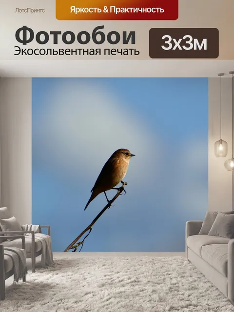 Фотообои Животное