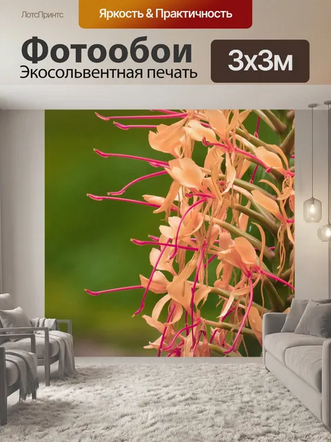Фотообои Цветы