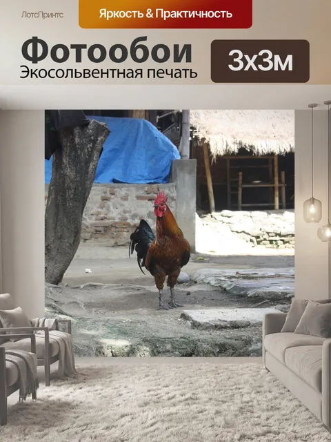Фотообои Индонезия