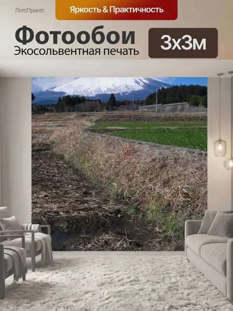 Фотообои Гора фудзи