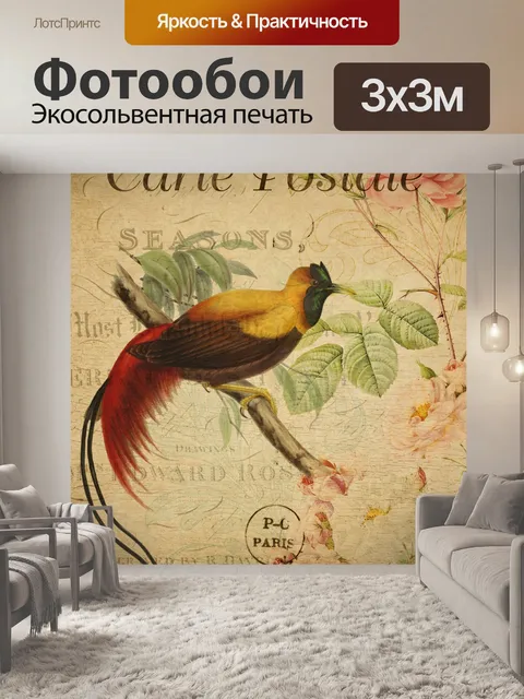 Фотообои Открытка Райская Птица