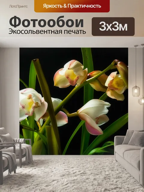 Фотообои Орхидеи