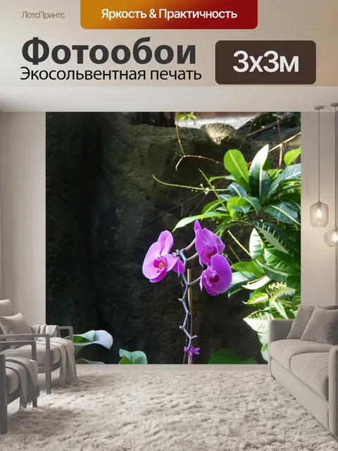 Фотообои Орхидеи