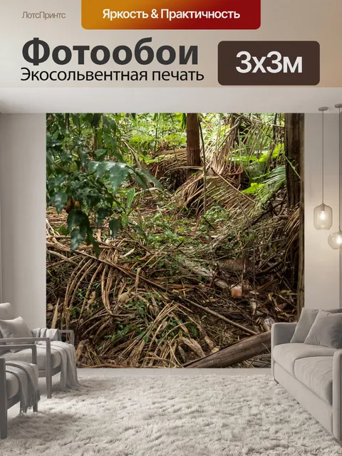 Фотообои Тропический лес