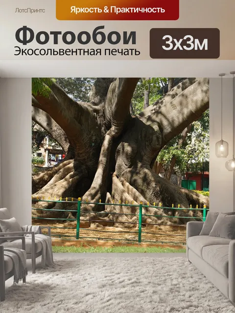 Фотообои Дерево