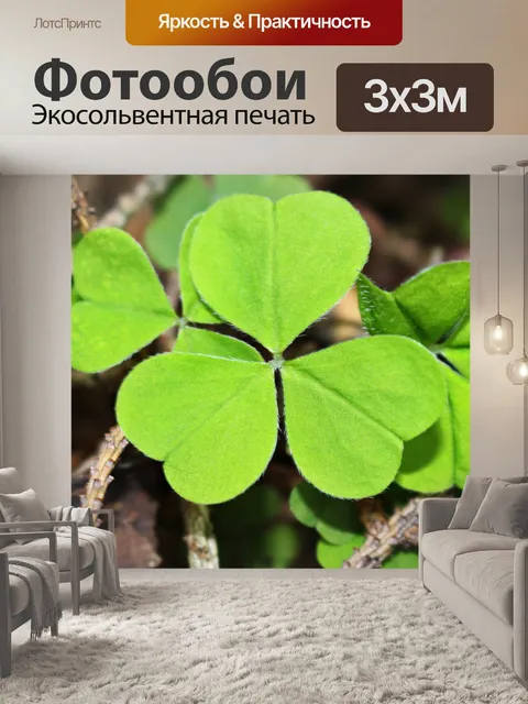 Фотообои Четырёхлистный клевер