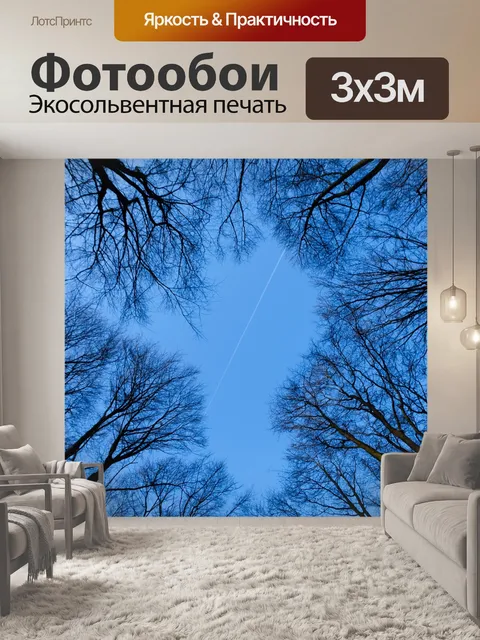Фотообои Небеса